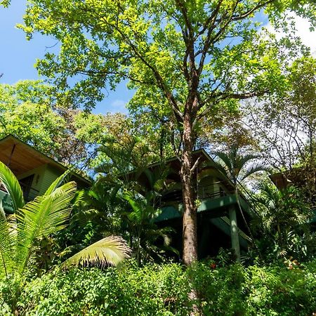 אוחוצ'אל Arbol Verde Villas מראה חיצוני תמונה