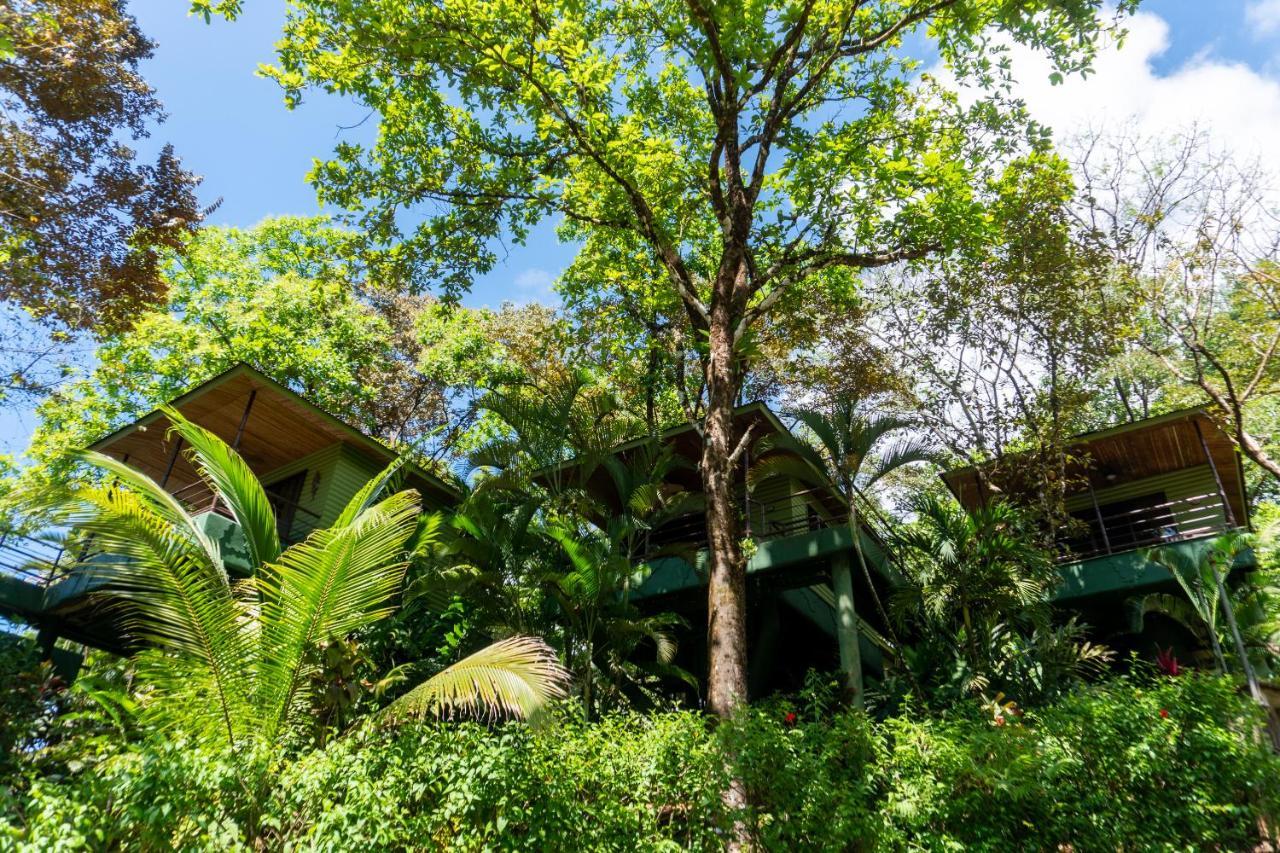 אוחוצ'אל Arbol Verde Villas מראה חיצוני תמונה