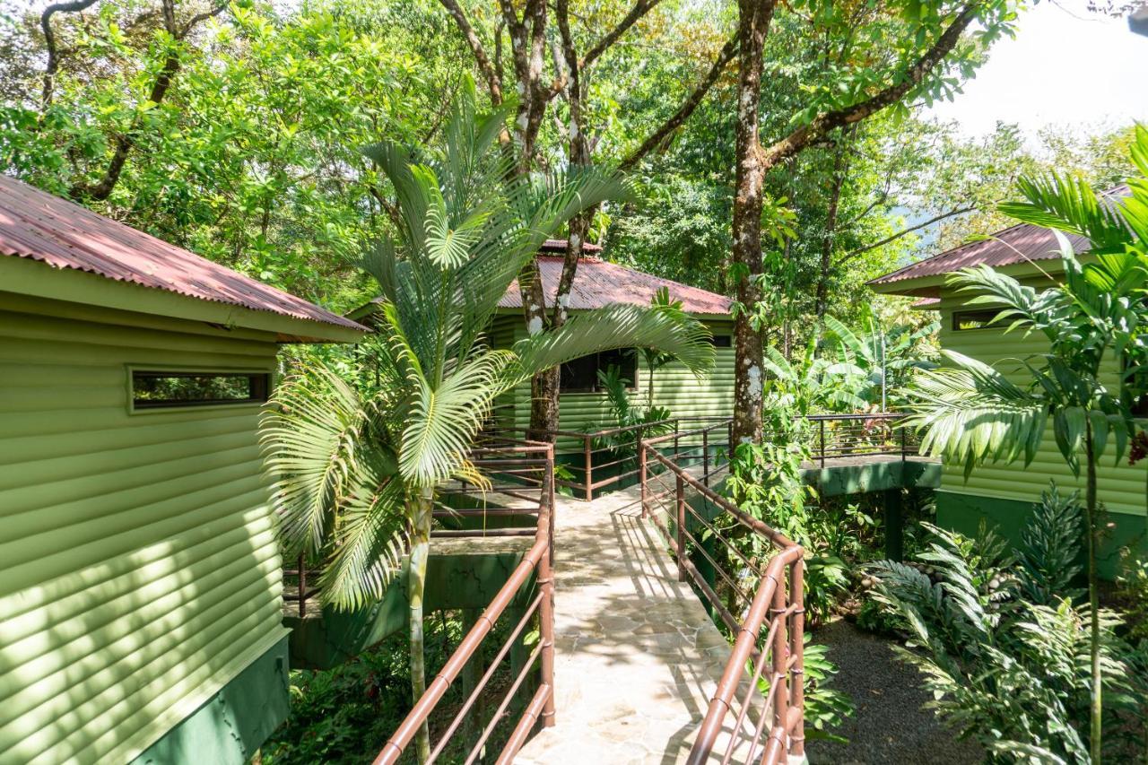 אוחוצ'אל Arbol Verde Villas מראה חיצוני תמונה
